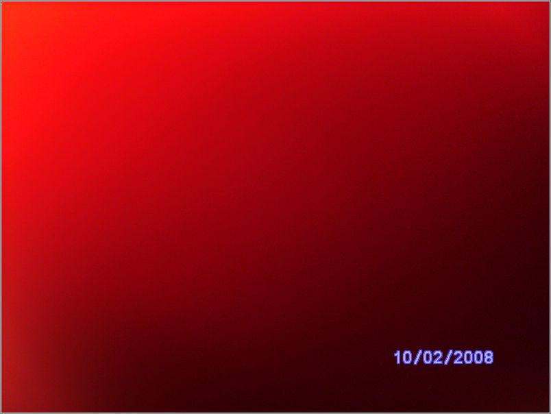BILD0675