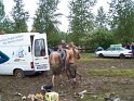 100_0581
